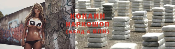 сатива Мегион