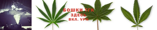 сатива Мегион