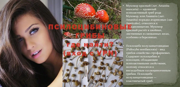 сатива Мегион