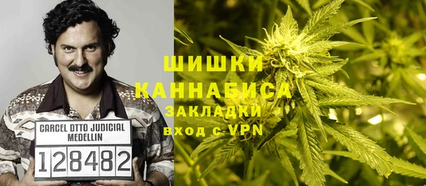 прущий лед Болотное