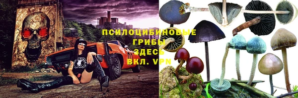сатива Мегион