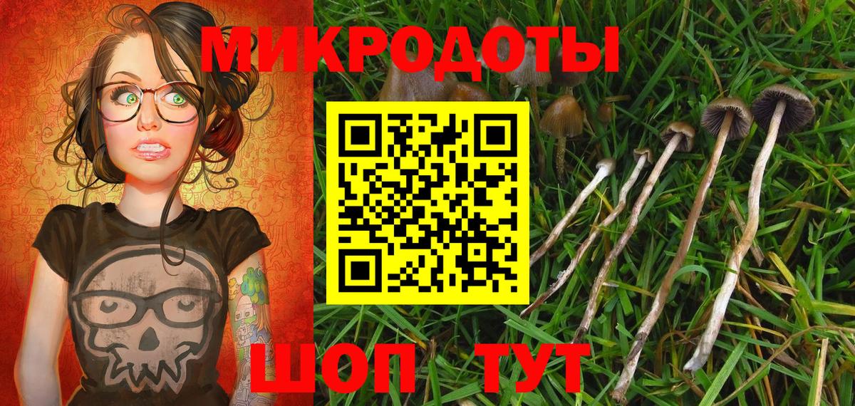 Галлюциногенные грибы Psilocybe Семилуки